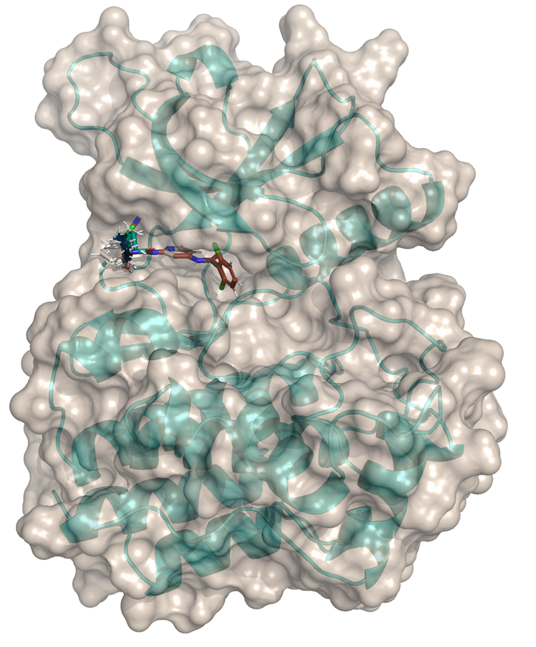 0866b11c296043c2afeace0f5d5f34ef